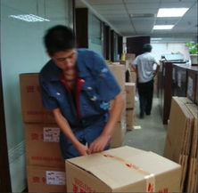 郴州專業(yè)人力出租與大連家政服務 高效解決您的用工需求