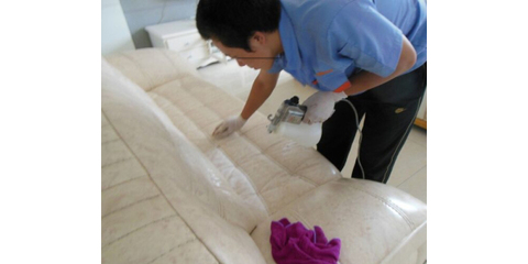 大連翼家家政服務 專業(yè)家政服務，讓生活更美好